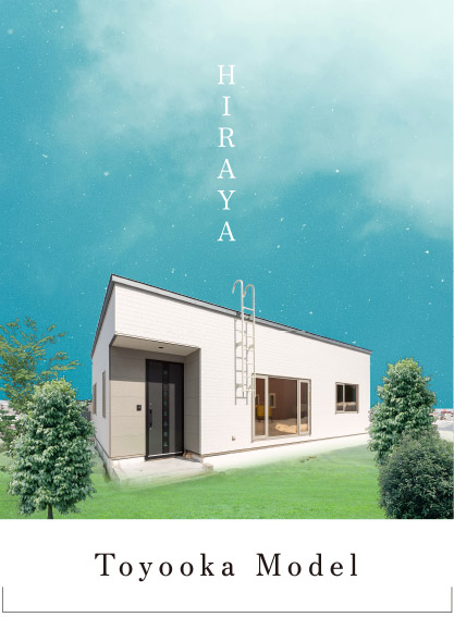 Toyooka Model